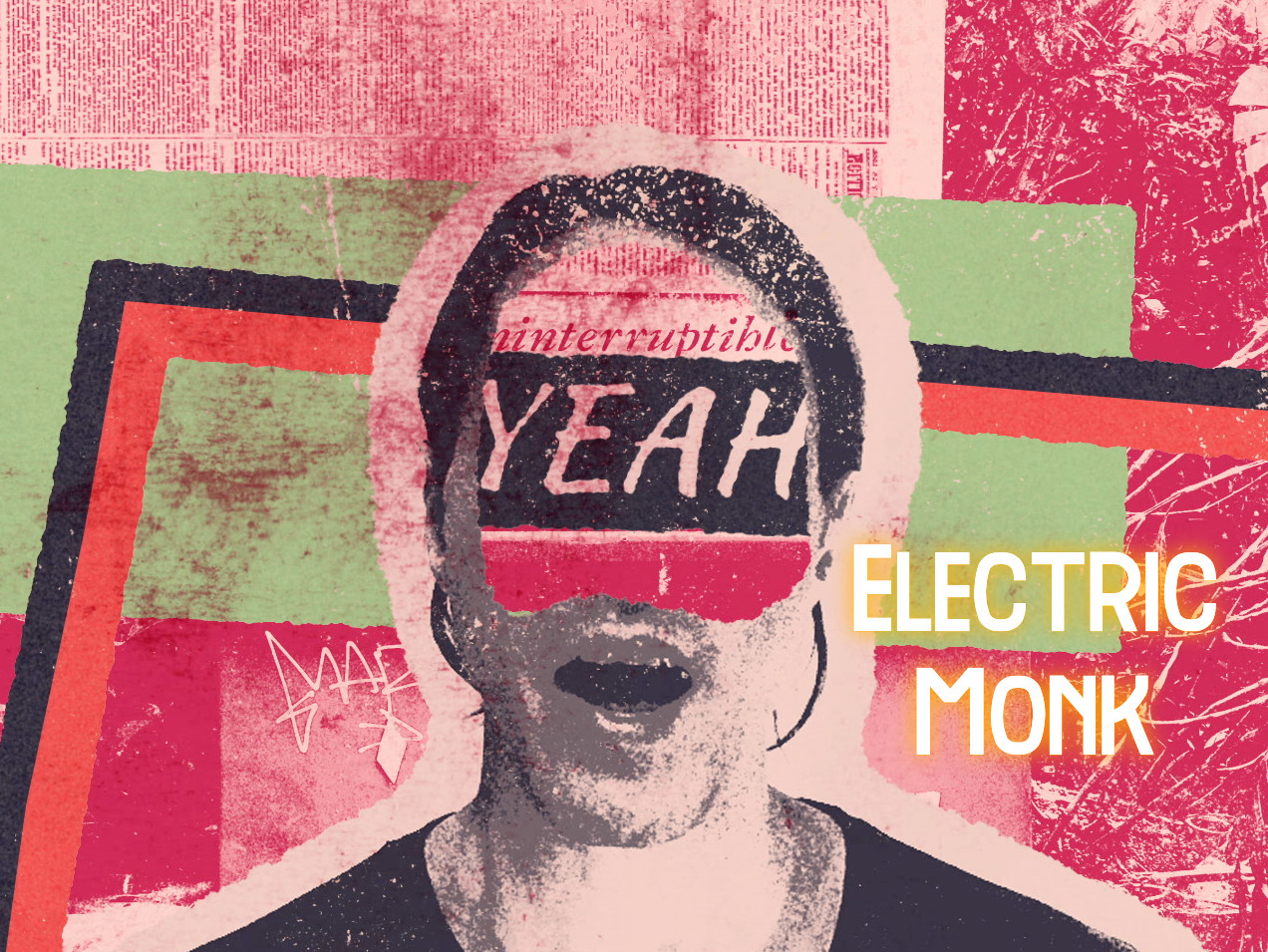 3. Electric Monk